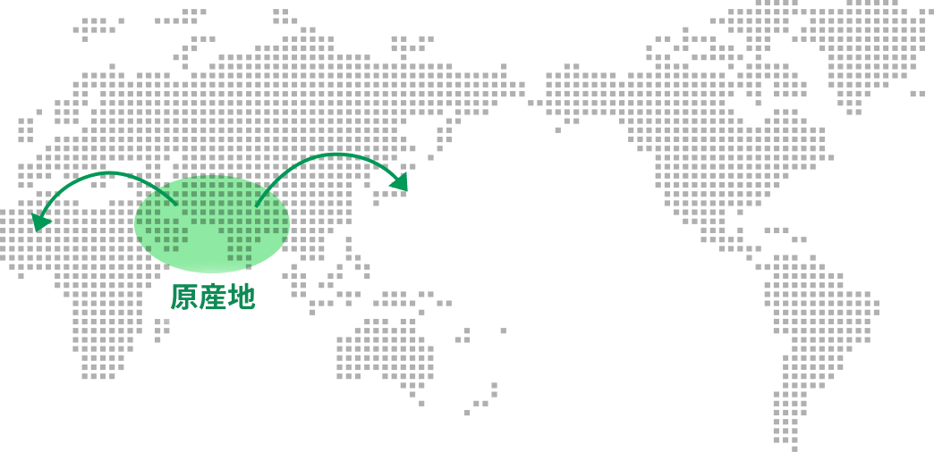 原産地をエリアを示した世界地図