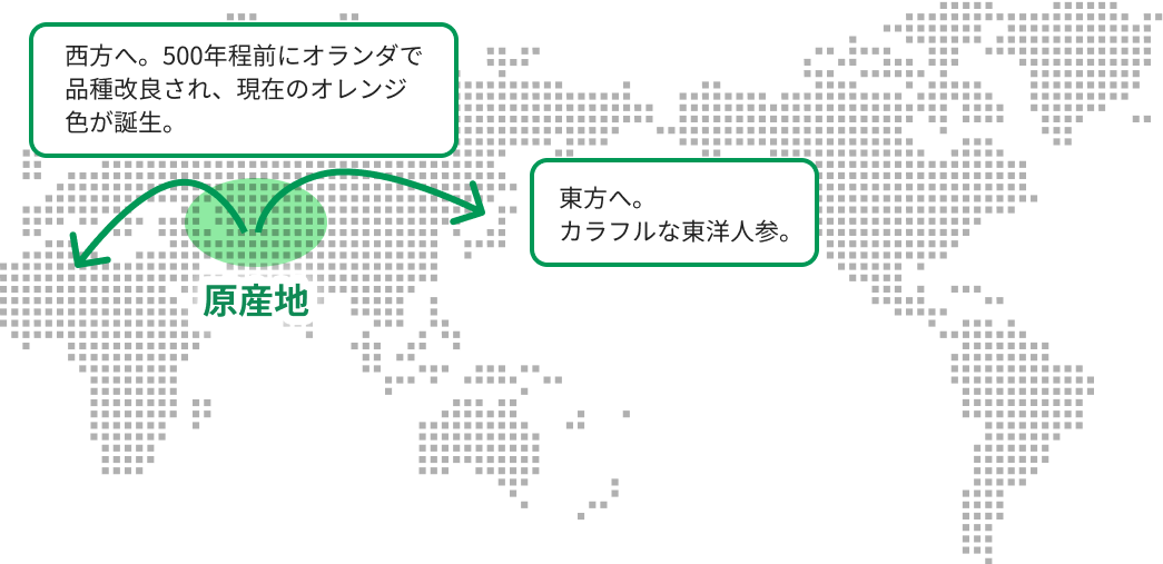 原産地をエリアを示した世界地図