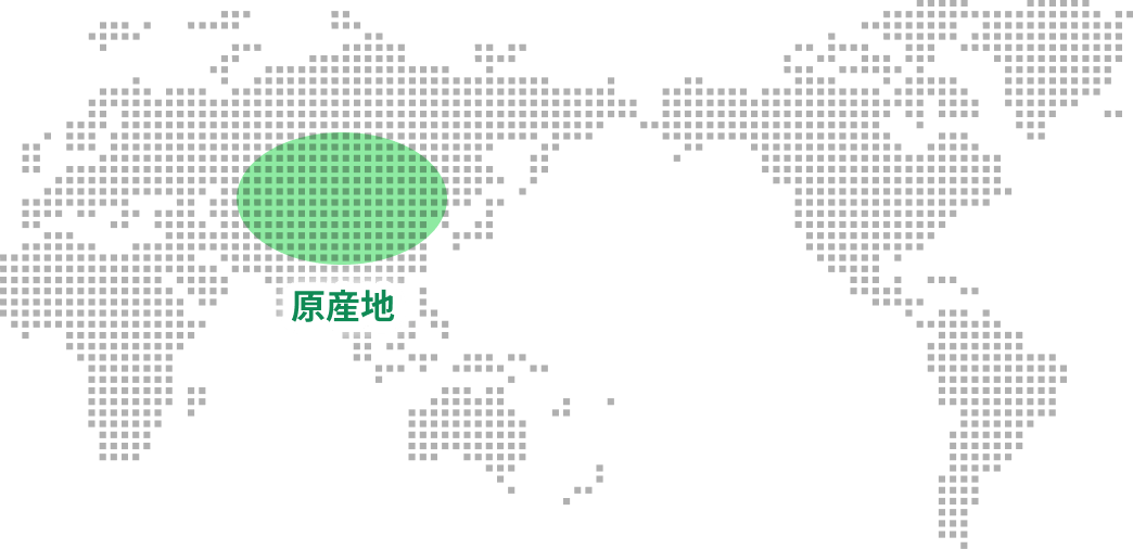 原産地をエリアを示した世界地図