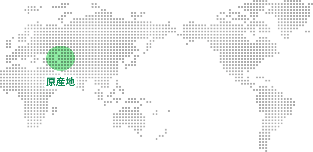 原産地をエリアを示した世界地図