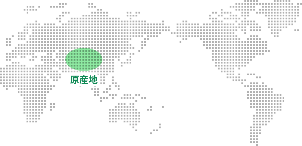 原産地をエリアを示した世界地図