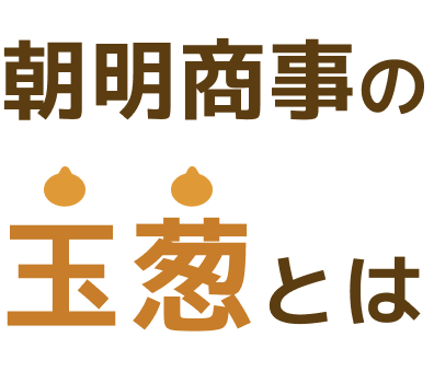 朝明商事の玉葱とは